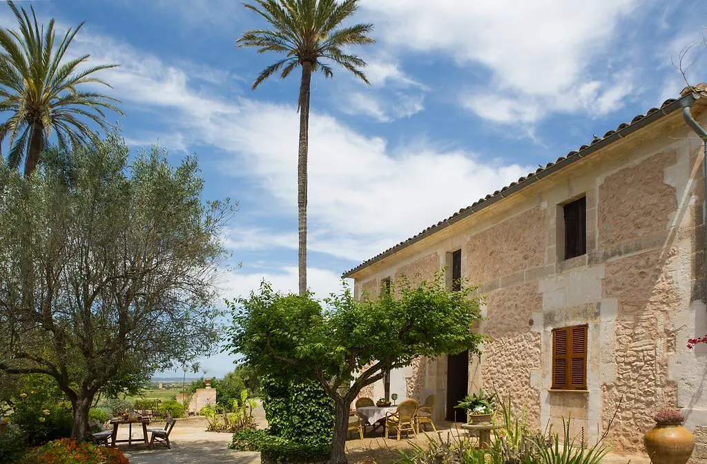 Agroturismo Es Pla De Llodra マナコル