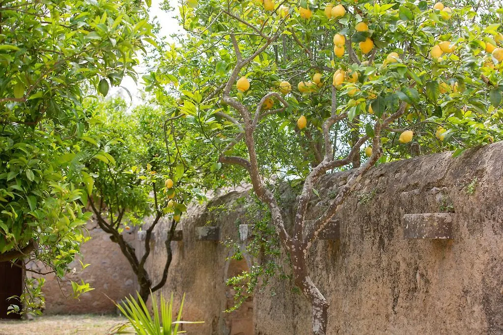 Agroturismo Es Pla De Llodra マナコル