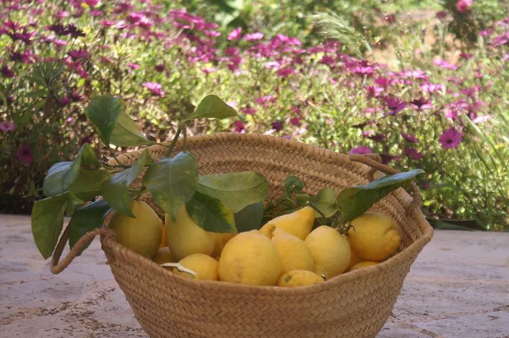Agroturismo Es Pla De Llodra マナコル 0*,  スペイン