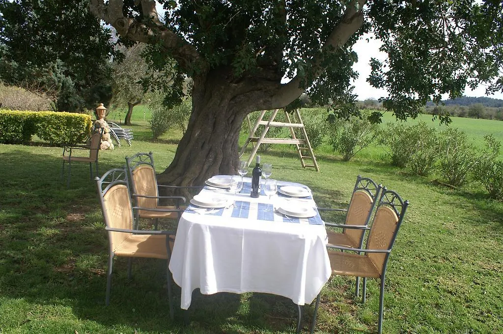 ファームステイ Agroturismo Es Pla De Llodra マナコル