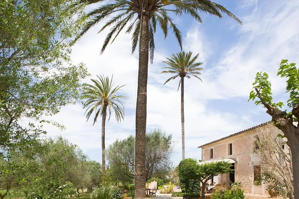 Agroturismo Es Pla De Llodra Manacor  Farm stay