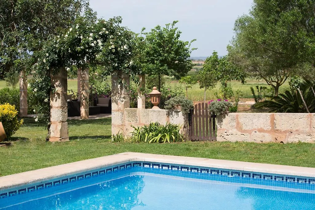 Farm stay Agroturismo Es Pla De Llodra Manacor
